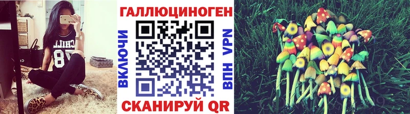 KRAKEN ONION  Новоалександровск  Галлюциногенные грибы мицелий  купить наркоту 