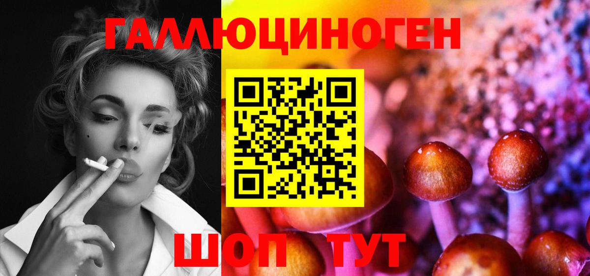 Псилоцибиновые грибы Psilocybine cubensis  Галлюциногенные грибы мухоморы  Вход с VPN  Новоалександровск 